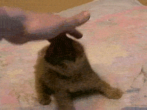 37430