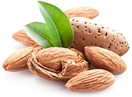 almond