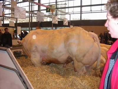 super cow 4