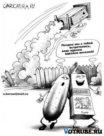 1244915892_karikatury-(www.votrube.ru)1
