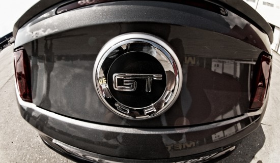 88cbdff909875ee0-original