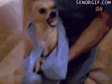 1308300677_1308271366_somebodyhatesgettingdryp1