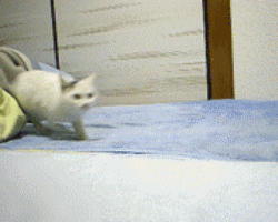 бесконечность