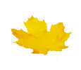 15299102Плеер