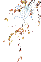 909084-Плеер