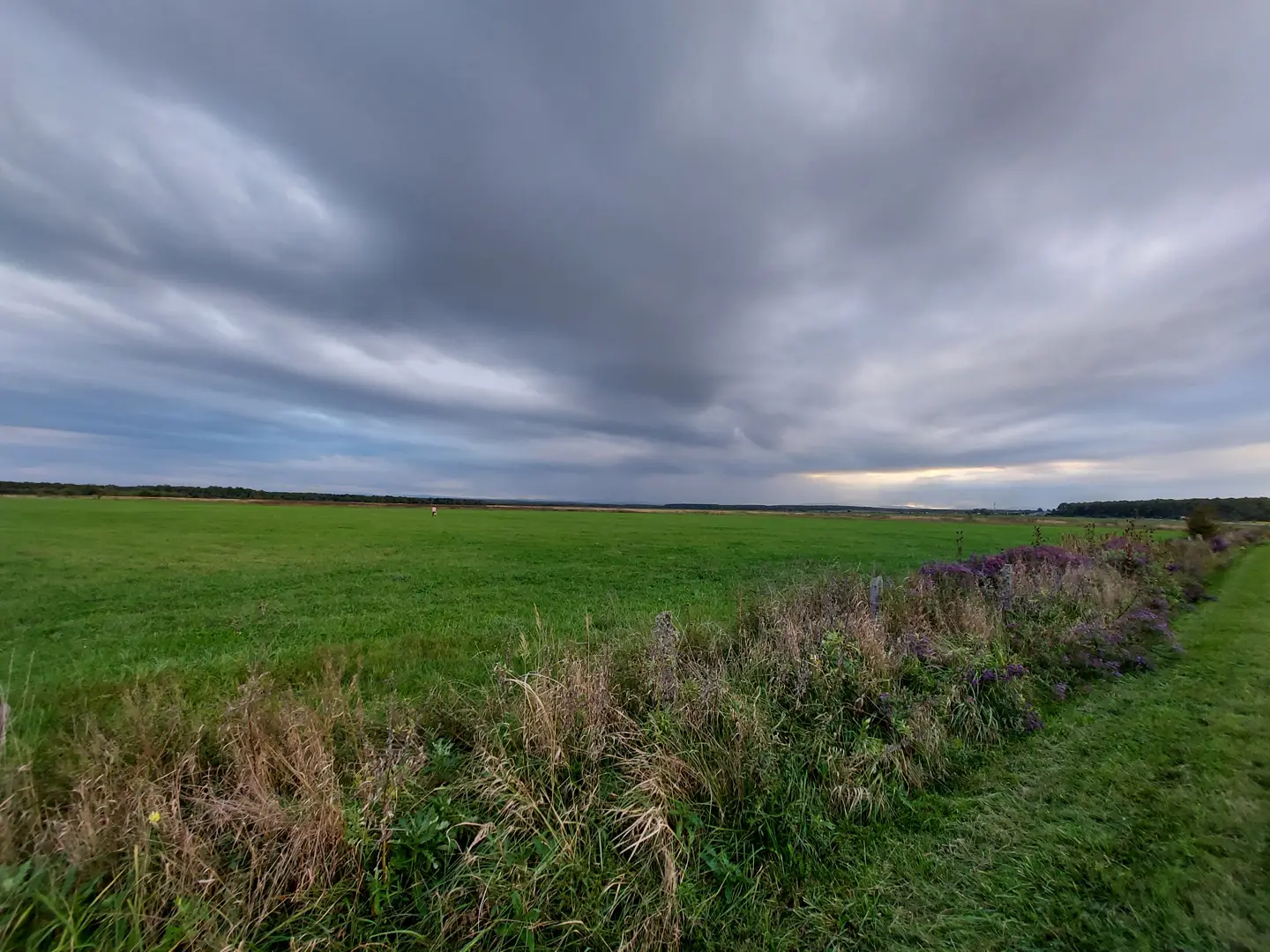 IMG_20210927_174447_302