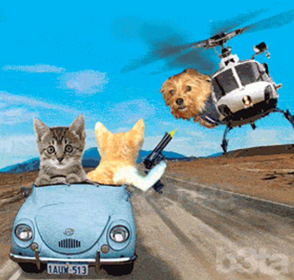 post-3-13251829611314