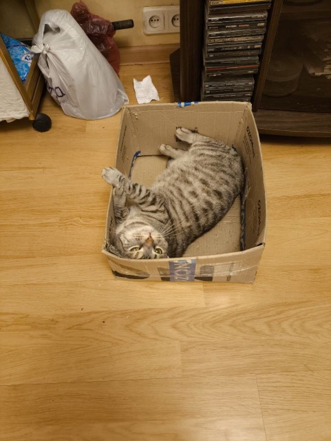 photo_2025-03-22_17-56-39