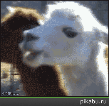 гифки-песочница-73412