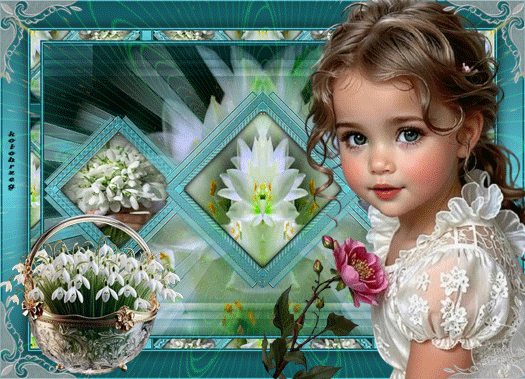 Calque_Alpha_Veronique