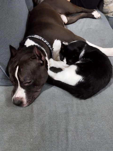 WhatsApp 2023-11-24 в 23.53.27_dbf059ed