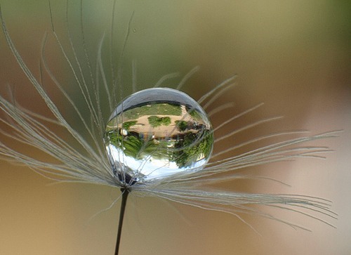 капля красотулечка