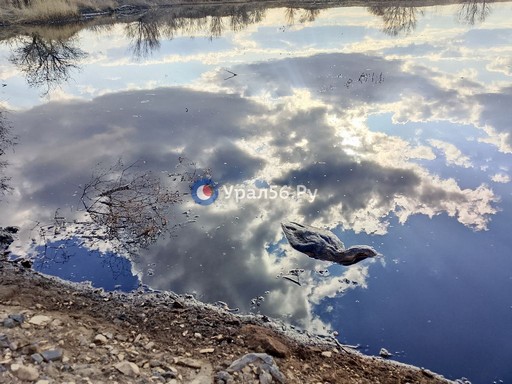 photo_2025-04-11_08-40-21