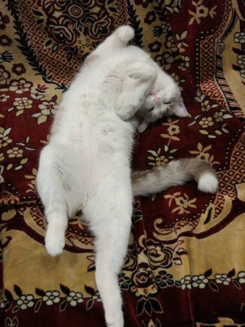 photo_2025-05-06_21-27-53