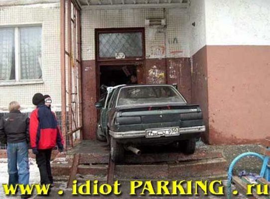 normal_idiotparkingru160705022