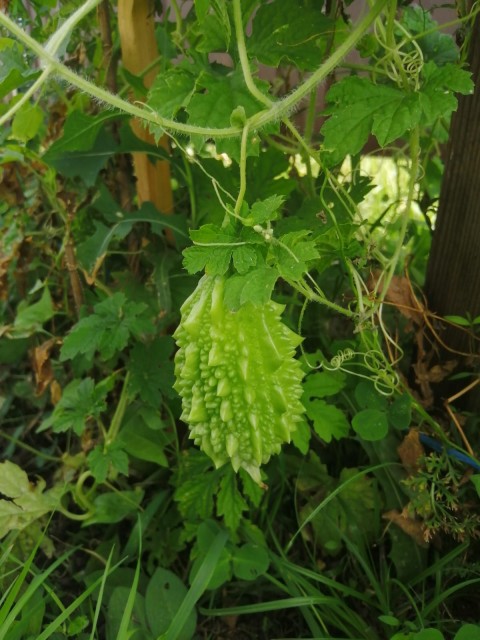 8697663f-ef5f-4459-b610-8df89c2c7ea0