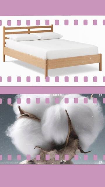 photo_2025-06-24_11-01-11