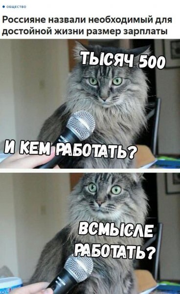 _500_i_rabotat_yapfiles.ru