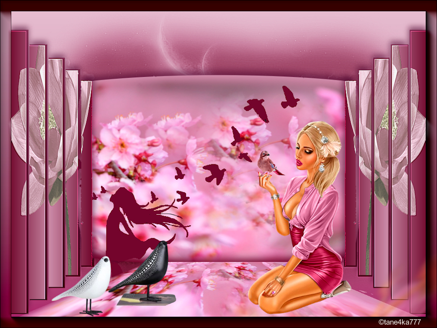 Коллажи от tane4ki 777 "Pássaro Ferido"(Раненая птица)