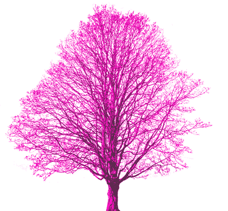 2_23_yapfiles.ru (1)_11zon