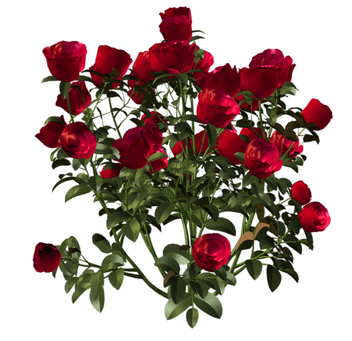 30cb8076b41307852d816046bac49a8d