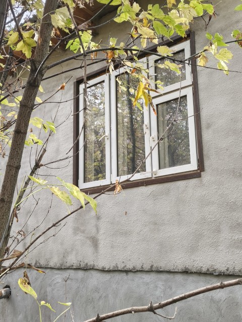 IMG_20251016_115519_081