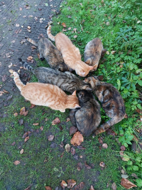 WhatsApp Image 2025-10-02 at 07.28.20