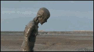 дельфинчег