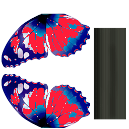 Batterfly_blue (1) (1)