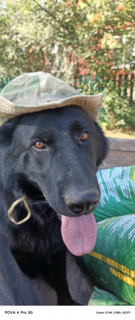 IMG_20250728_094625_174