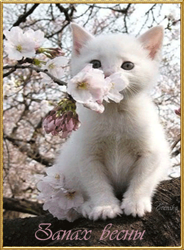 Запах весны