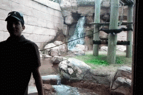 630daa69e52f930b9cf7c5d1089f01d5