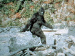 bigfoot