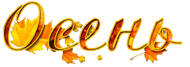 images (1)-no-bg-preview (carve.photos) (1)