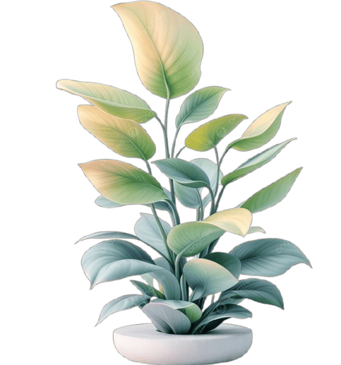 _24-10-2025_052352-removebg-preview