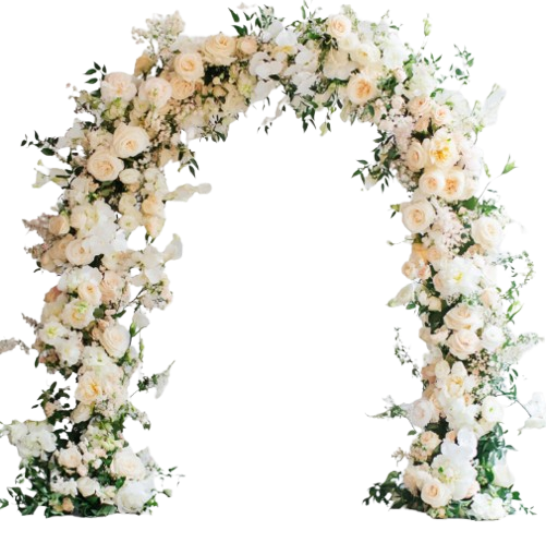 _26-12-2025_194038-removebg-preview