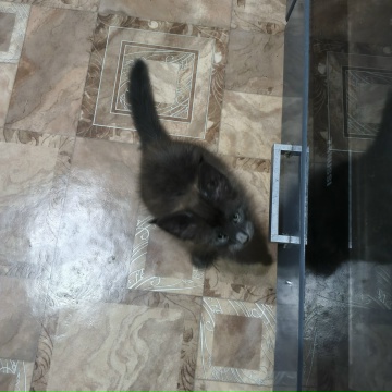 Jg15eKcgxyKQgaPxQD0-hlFdNDD7z3BMxfoJLvp4oUltOdfi052_paeldtqaCt4ICS5OYRPEPXSHUtF_XgLRl923