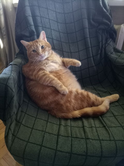 photo_2026-01-03_15-35-52 (1)