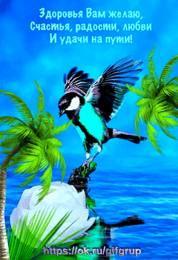 здоровья вам