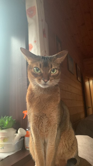 1fea13fd-ebae-4c63-a3b0-85b956f99abe