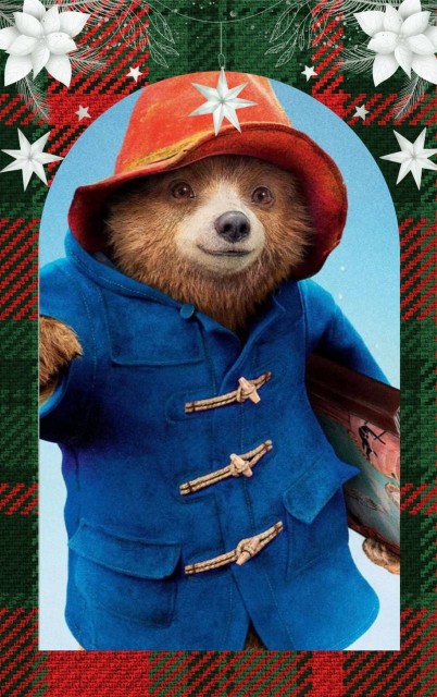 photo_2026-01-15_21-17-20