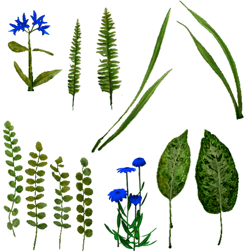 grass_01_li.-синие