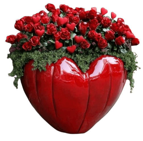 -20260201-013524-removebg-preview