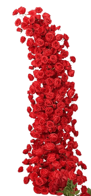 -20260201-045733-removebg-preview