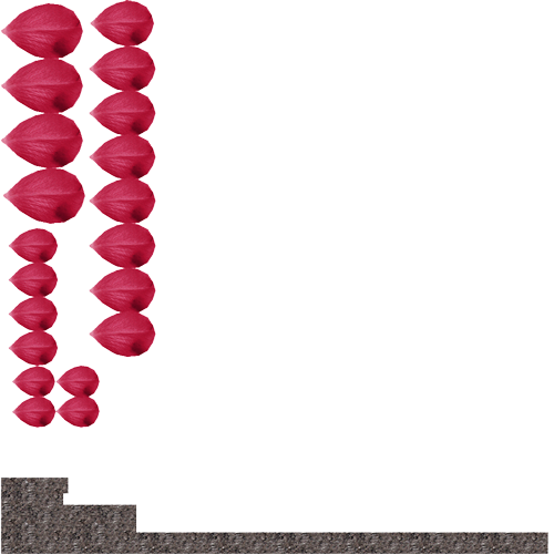 flowers_02_gayka-БЕЗ-ВАЗЫ