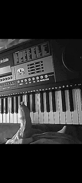 Не клади член на музыку. Занимайся!