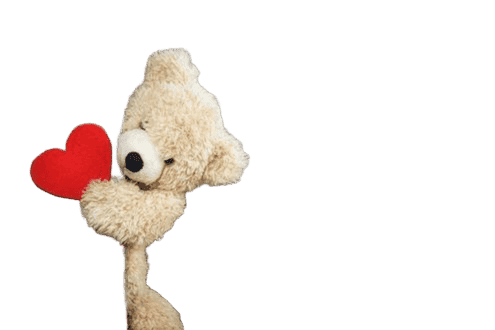 mid_291033_744161 (1)