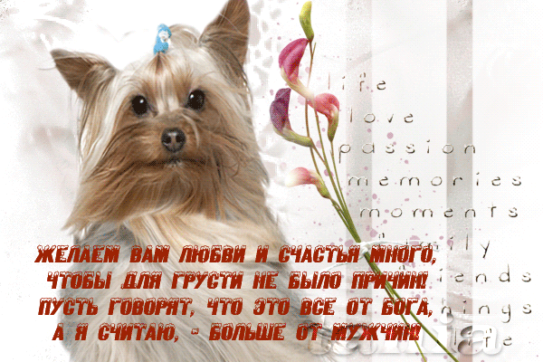 Без-имени-3hj