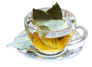 лавровый чай