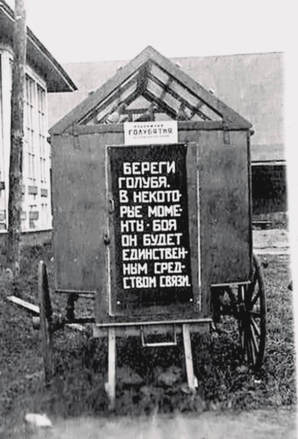 photo_2026-02-16_21-55-26